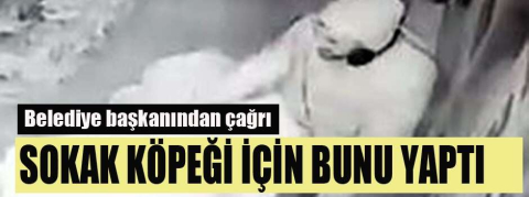 Böyle insanlar da var! Üşüyen sokak köpeği için bunu yaptı