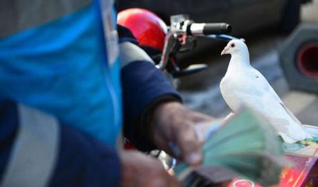 Güvercinin pislediği biletler kapış kapış gidiyor!