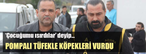 'Çocuğumu ısırdılar' dedi, iki köpeği vurdu!