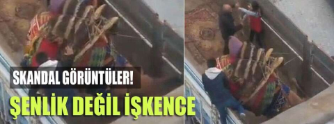 Deve güreşlerinde skandal görüntüler...
