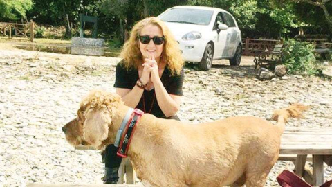 Ünlü dizilerin senaristine sokak ortasında saldırı