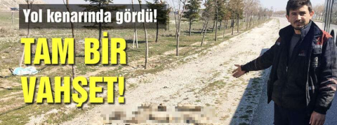 Yol kenarında gördü! Tam bir vahşet