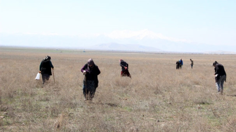 Genci,yaşlısı bastonunu alan araziye koştu!