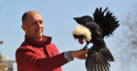 Ne olduğunu duyan şaşırıyor! Fiyatı bin liraya kadar çıkıyor