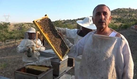 Yeni gelir kapısı oldu: kilosu 150 lira!