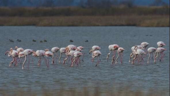 Venedik'ten Bursa'ya