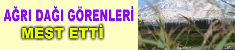 Ovanın yeşili ile bütünleşen Ağrı Dağı görenleri mest etti