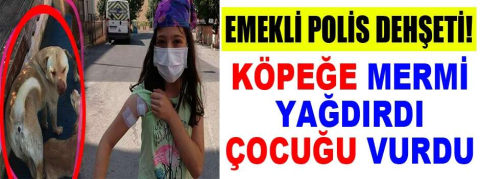 Emekli polis dehşeti! Köpeğe mermi yağdırdı, 10 yaşındaki çocuğu vurdu
