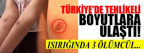 Türkiye'de tehlikeli boyutlara ulaştı