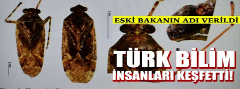 Türk bilim insanları keşfetti! 