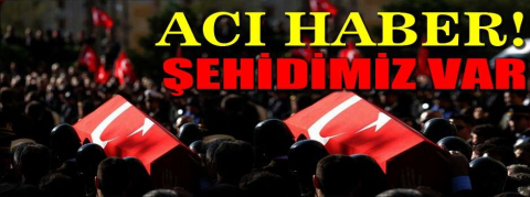 MSB acı haberi duyurdu: 1 asker şehit oldu