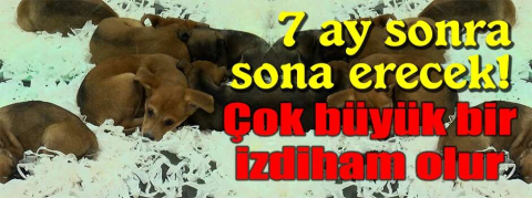 7 ay sonra sona erecek