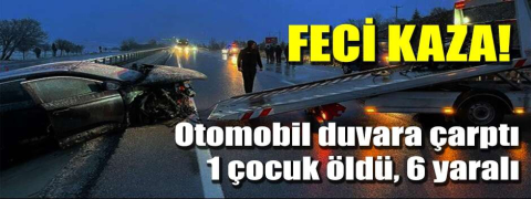 Feci kaza!