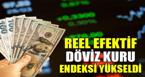 Reel efektif döviz kuru endeksi yükseldi