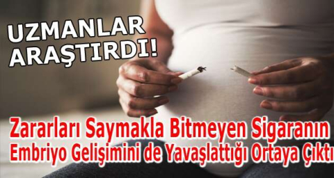 Uzmanlar Araştırdı!