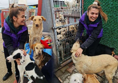 Biran Damla Yılmaz: İstedikleri şey sadece sevgi