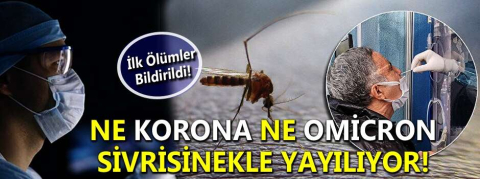 İlk ölümler bildirildi!