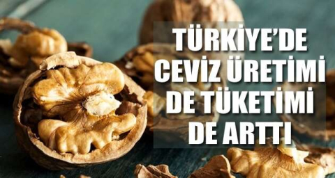Türkiye’de ceviz üretimi de tüketimi de arttı