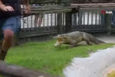 Timsahın kafesine giren adamın zor anları