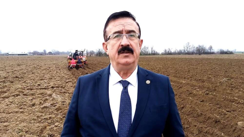 Bursa'da ‘sarı altın’ ekimi başladı