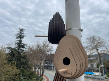 Sokak lambaları kuşların yeni yuvası oldu