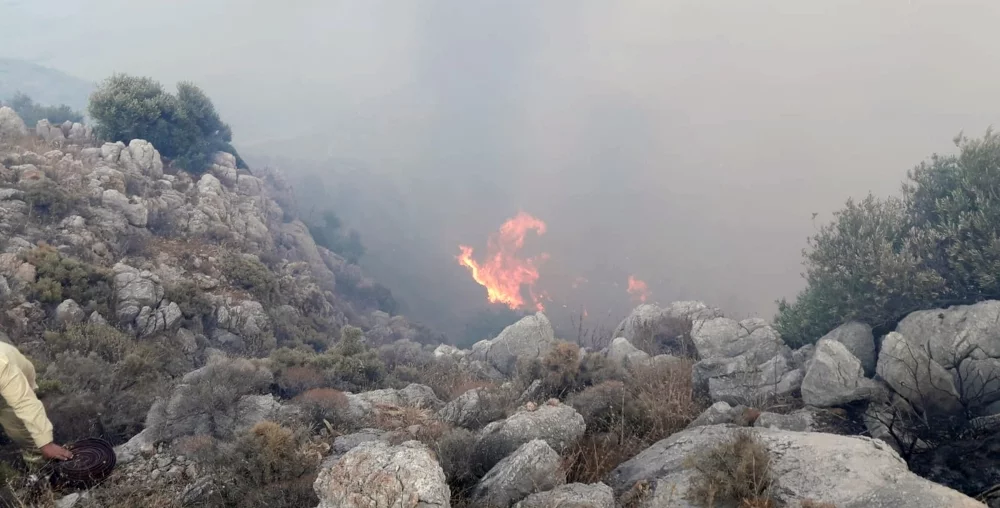 Datça'da dev yangın