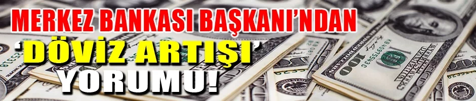 Merkez Bankası Başkanı Kavcıoğlu'ndan dolar açıklaması